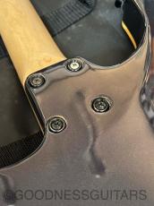 Charvel CS-CDS-I "Sample"_11