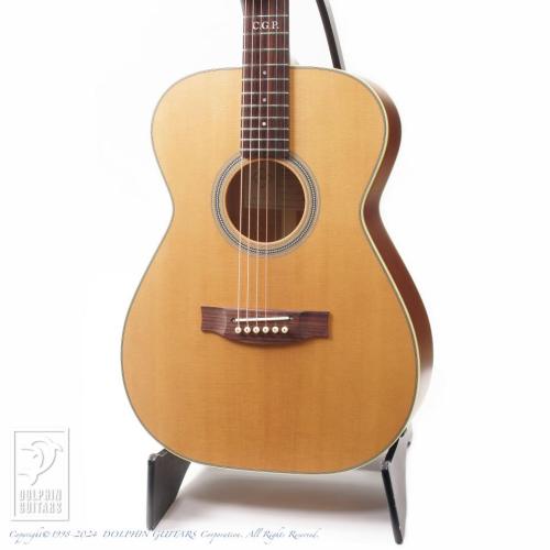 Maton MASTER BUILT - TE Personal
