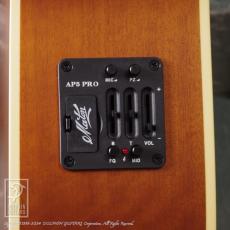 Maton MASTER BUILT - TE Personal_13