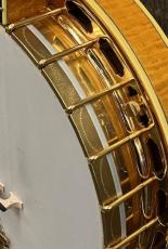 その他 The Iwamoto 5strings Banjo_9