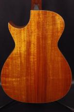 Taylor K22C_3