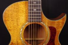 Taylor K22C_8