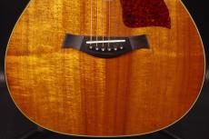 Taylor K22C_9