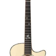 Furch Guitars Rainbow Gc-ER -MOROHA UK Mod-_6