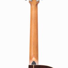 Furch Guitars Rainbow Gc-ER -MOROHA UK Mod-_9