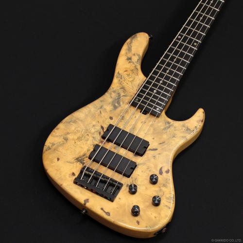 Sadowsky Special Order Model - 24-Fret 5-String (2007)