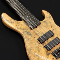 Sadowsky Special Order Model - 24-Fret 5-String (2007)_5