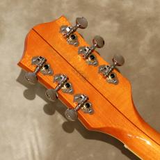 Gretsch G6120T-59 VS Vintage Select Edition '59 Chet Atkins_5