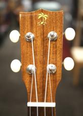 ILIKAI IL-SOP-4KGG 【実物写真】【福岡店在庫】【ハードケース付属】(識別番号:006)_4