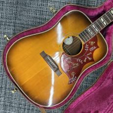 Gibson Hummingbird 1982年