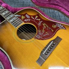 Gibson Hummingbird 1982年_6