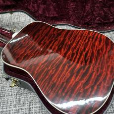 Gibson Firebird Acoustic 2003年_5