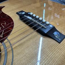 Gibson Firebird Acoustic 2003年_9