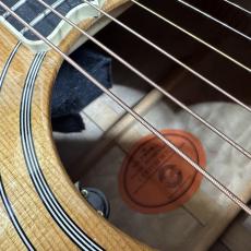 Gibson Firebird Acoustic 2003年_10