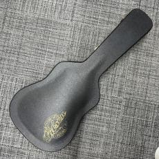 Gibson Firebird Acoustic 2003年_11