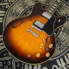 レスポール・タイプ、ホロウ/セミホロウの検索結果1～50件【楽器検索