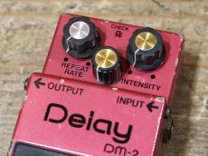 BOSS DM-2 Delay "MN3005/MN3101" 1981_2