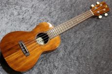 ILIKAI  IL-CON-4KGG 個体番号6【かわいいサップ入りトップ】 【池袋店在庫品】_2