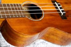 ILIKAI  IL-CON-4KGG 個体番号6【かわいいサップ入りトップ】 【池袋店在庫品】_6