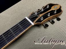 Jason Z Schroeder Guitars Tedesco Lindsey Buckingham Spec 2014 /Q-Maple /Korina /Rose-Neck Mint "Special Option Order"_10