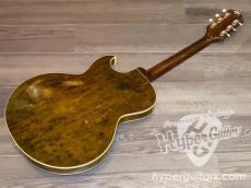 Epiphone '62 Sorrento E452TD_2