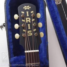 IRIS GUITAR COMPANY The DF Model (Adirondack Spruce Top)_6