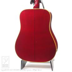 Gibson Dove Custom_3