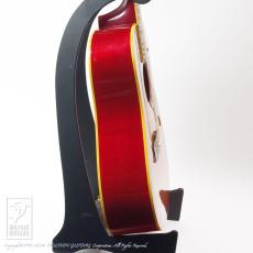 Gibson Dove Custom_5