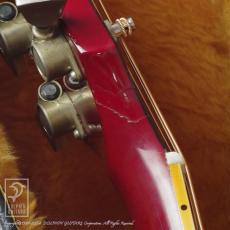 Gibson Dove Custom_7