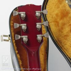 Gibson Dove Custom_8