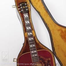 Gibson Dove Custom_9