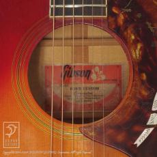 Gibson Dove Custom_14