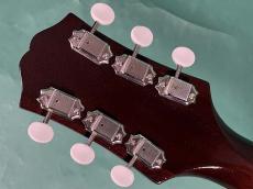 KING SNAKE MUDDY NON CUTAWAY MOUNTAIN BURST_6