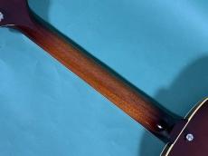 KING SNAKE MUDDY NON CUTAWAY MOUNTAIN BURST_8