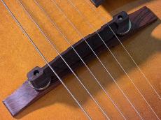 KING SNAKE MUDDY NON CUTAWAY MOUNTAIN BURST_10