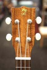 ILIKAI IL-SOP-4KGG 【実物写真】【福岡店在庫】【ハードケース付属】(識別番号:008)_4