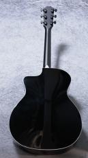 Taylor 【限定モデル!】214ce Plus Special Edition / Trans Blue_4