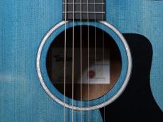 Taylor 【限定モデル!】214ce Plus Special Edition / Trans Blue_5
