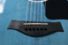 Taylor 【限定モデル!】214ce Plus Special Edition / Trans Blue_6