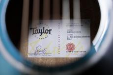 Taylor 【限定モデル!】214ce Plus Special Edition / Trans Blue_10
