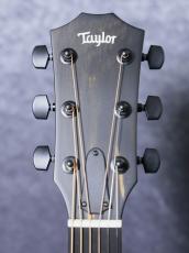 Taylor 【限定モデル!】214ce Plus Special Edition / Trans Blue_11
