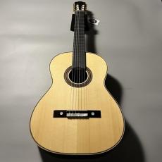 ASTURIAS TSUJI S-4/H_2