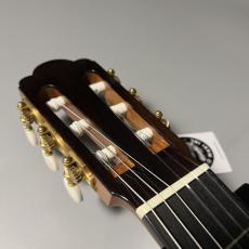 ASTURIAS TSUJI S-4/H_6