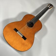 YAMAHA GC22C_2
