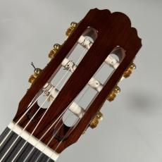YAMAHA GC22C_5