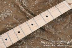 Fender 2000's Crashocaster Modified_8