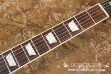 Gibson 2000 Firebird V Conversion_8