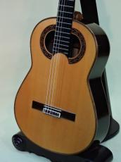 ポール・フィッシャー　【Paul Fischer】 シンプリシオ【Simplicio】モデル