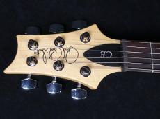 Paul Reed Smith [PRS] CE 24 Semi-Hollow Blue Matteo 2022_5