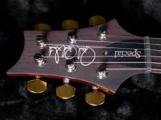 Paul Reed Smith [PRS] Special Semi-Hollow 10Top Orange Tiger 2023_5